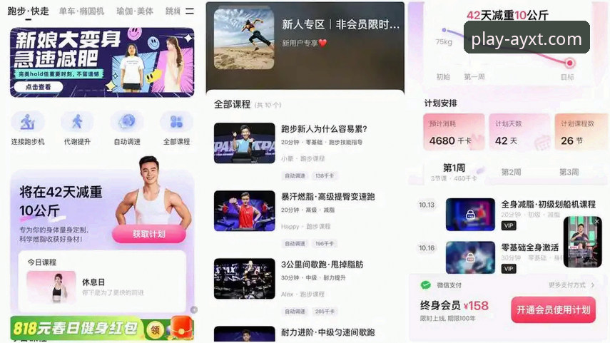 资深用户深度解析：爱游戏体育AYXT最新版本哪个好？实战体验与趋势前瞻